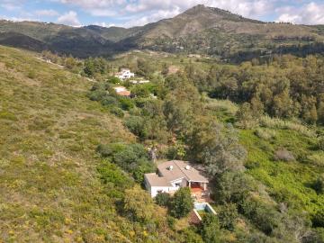 Grapevine Properties SL most sold property