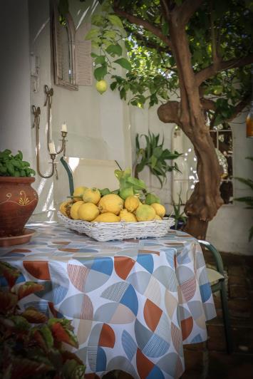 Image No.28-Maison de ville de 2 chambres à vendre à Tolox