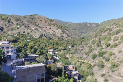 Grapevine Properties SL most sold property