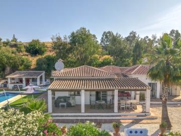 Grapevine Properties SL most sold property