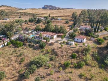 Grapevine Properties SL most sold property