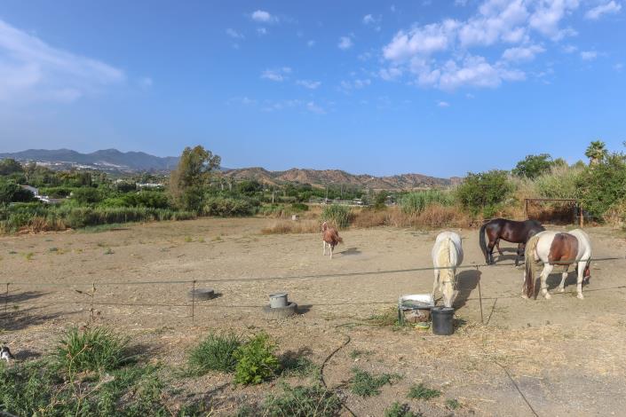 Image No.8-5 Bed Villa / Detached for sale