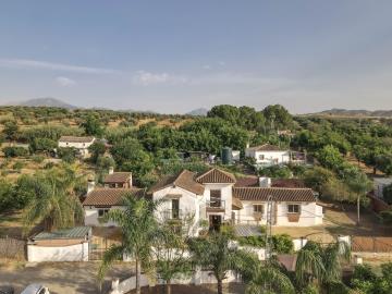 Grapevine Properties SL most sold property