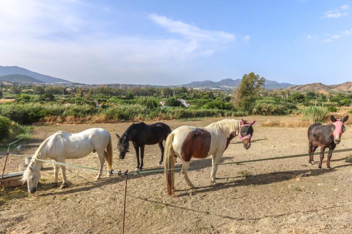 Image No.41-5 Bed Villa / Detached for sale