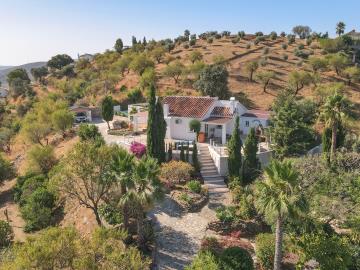 Grapevine Properties SL most sold property