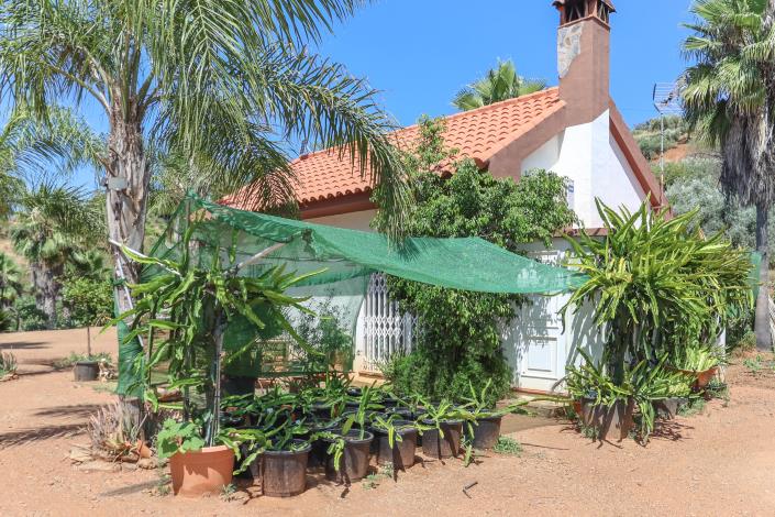 Image No.8-1 Bed Farmhouse for sale