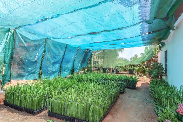 Image No.26-1 Bed Farmhouse for sale