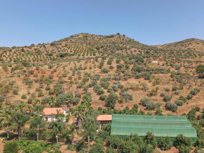 Image No.36-1 Bed Farmhouse for sale