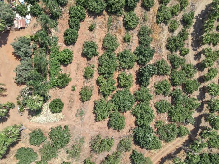 Image No.38-1 Bed Farmhouse for sale