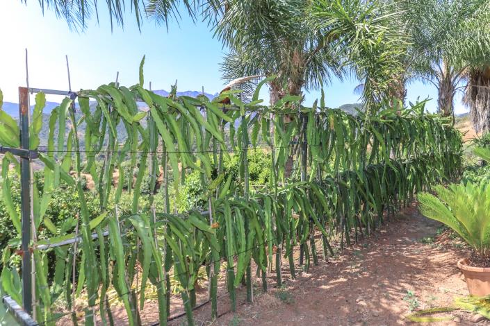 Image No.42-1 Bed Farmhouse for sale