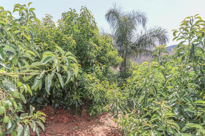 Image No.44-1 Bed Farmhouse for sale