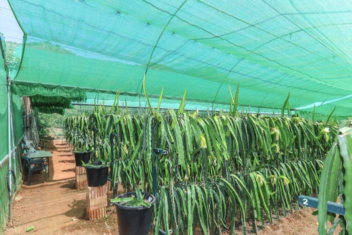 Image No.46-1 Bed Farmhouse for sale