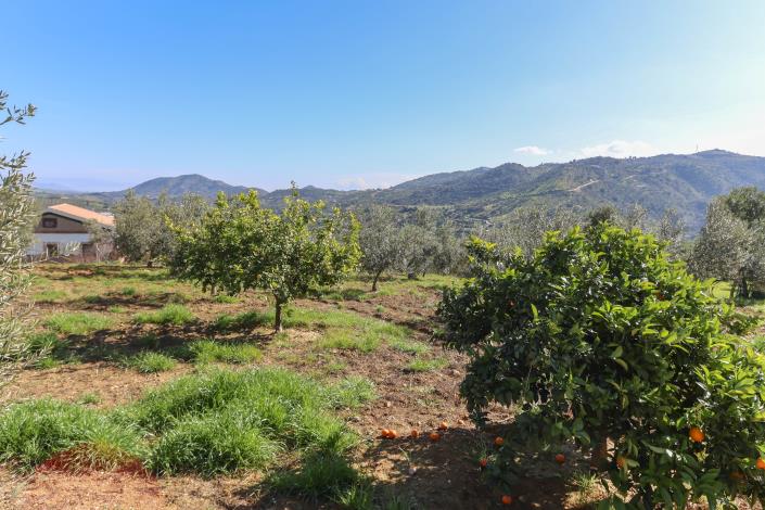 Image No.47-Villa / Détaché de 4 chambres à vendre à Guaro