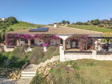 Grapevine Properties SL most sold property