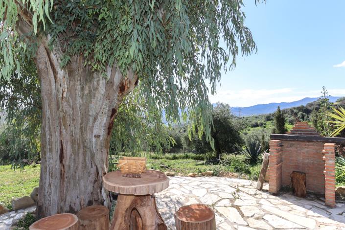 Image No.42-Villa / Détaché de 4 chambres à vendre à Alozaina