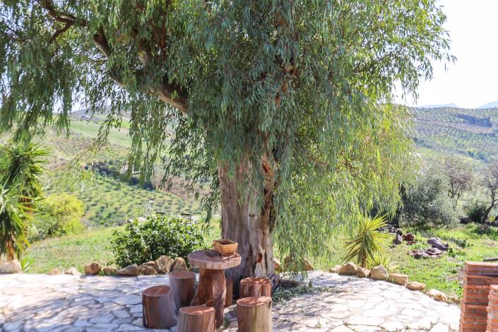 Image No.46-Villa / Détaché de 4 chambres à vendre à Alozaina