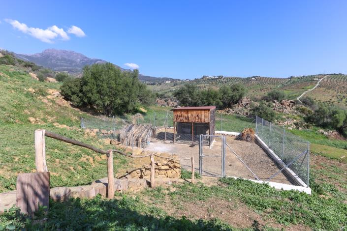 Image No.49-Villa / Détaché de 4 chambres à vendre à Alozaina