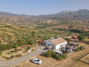 DJI_0831