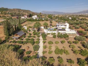 DJI_0866