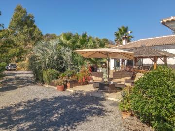 Grapevine Properties SL most sold property