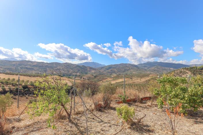 Image No.56-3 Bed Country Property for sale