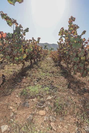 Image No.40-Villa / Détaché de 5 chambres à vendre à Coin