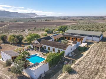 Grapevine Properties SL most sold property