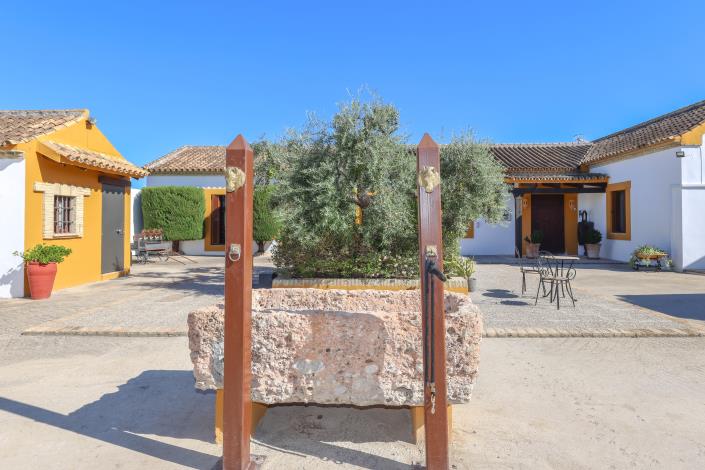 Image No.40-5 Bed Finca for sale