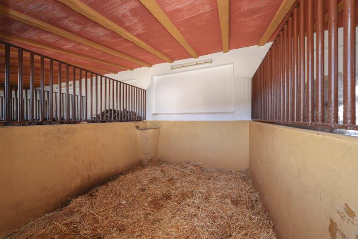 Image No.46-5 Bed Finca for sale