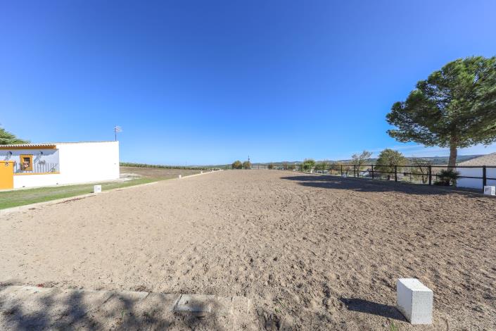 Image No.50-5 Bed Finca for sale