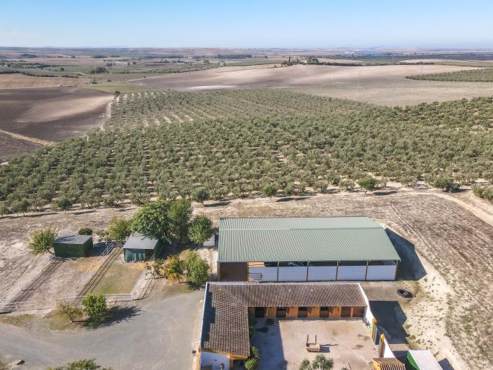 Image No.53-5 Bed Finca for sale