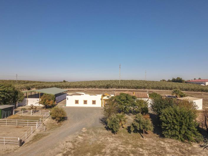 Image No.55-5 Bed Finca for sale