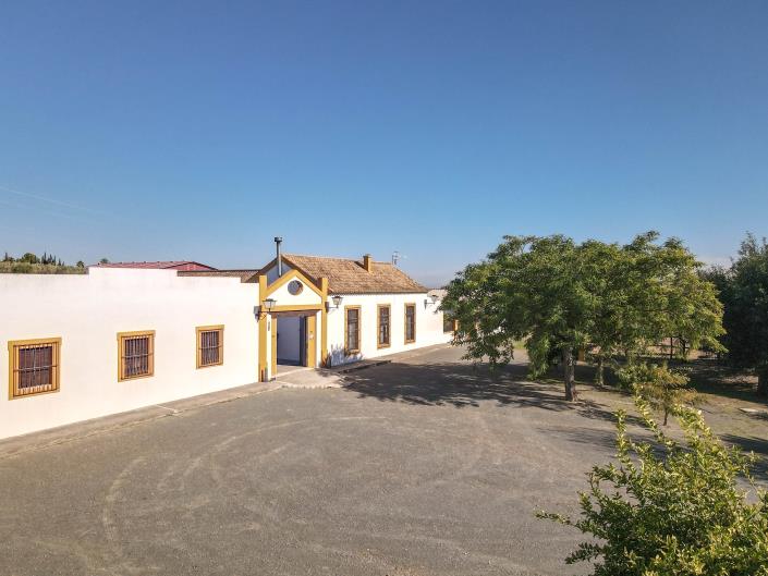 Image No.56-5 Bed Finca for sale