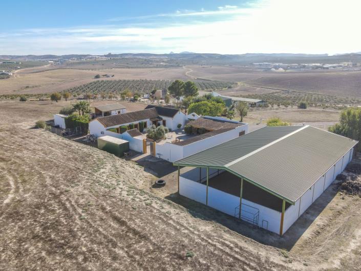 Image No.58-5 Bed Finca for sale