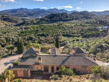 Grapevine Properties SL most sold property