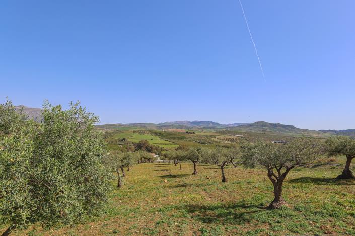 Image No.39-3 Bed House/Villa for sale