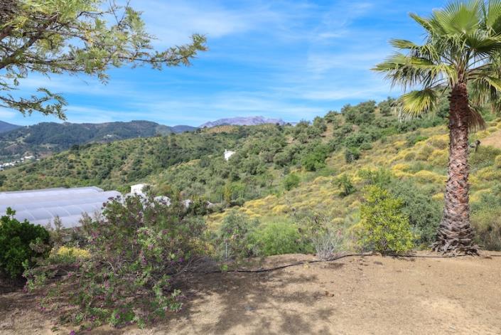 Image No.37-Villa / Détaché de 3 chambres à vendre à Tolox