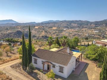 DJI_0454