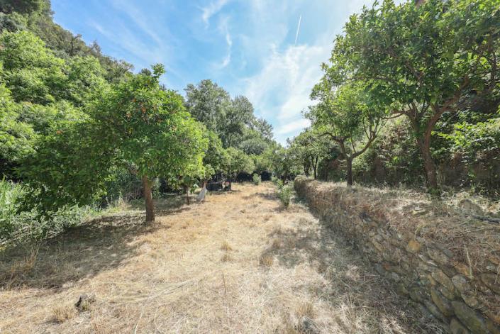 Image No.3-Land for sale