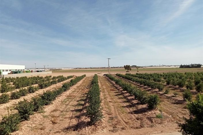 Image No.48-Villa de 3 chambres à vendre à Dolores De Pacheco