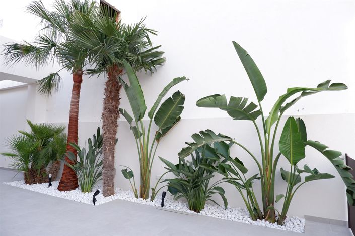 Image No.3-Villa de 3 chambres à vendre à Benijofar