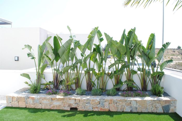 Image No.8-Villa de 3 chambres à vendre à Benijofar