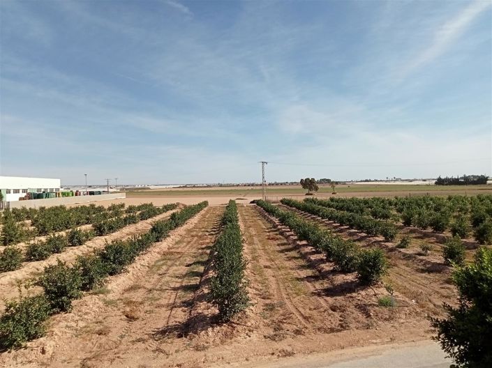 Image No.48-3 Bed Villa for sale