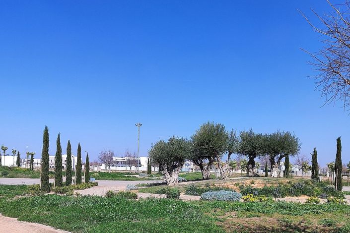 Image No.11-Appartement de 3 chambres à vendre à Torre Pacheco Town