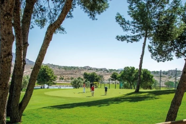 Image No.21-Appartement de 3 chambres à vendre à Alenda Golf