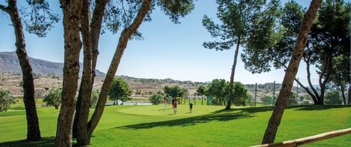 Image No.21-Appartement de 2 chambres à vendre à Alenda Golf