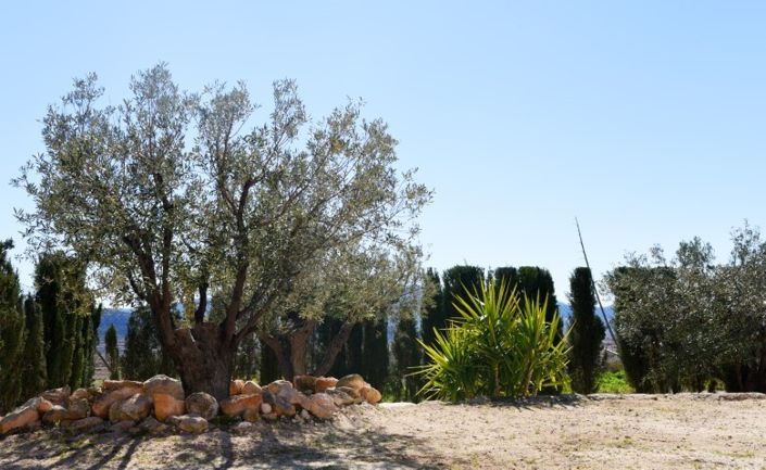 Image No.21-4 Bed Villa for sale