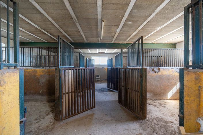 Image No.43-Villa de 6 chambres à vendre à Monóvar