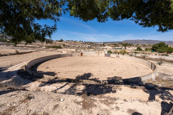 Image No.45-Villa de 6 chambres à vendre à Monóvar