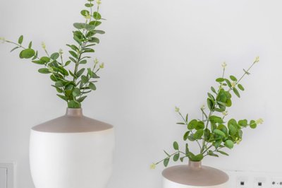 o1isvfl44qa041074q231jrdh163u